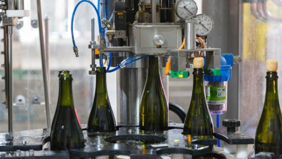 Trabajo de microbiología 1