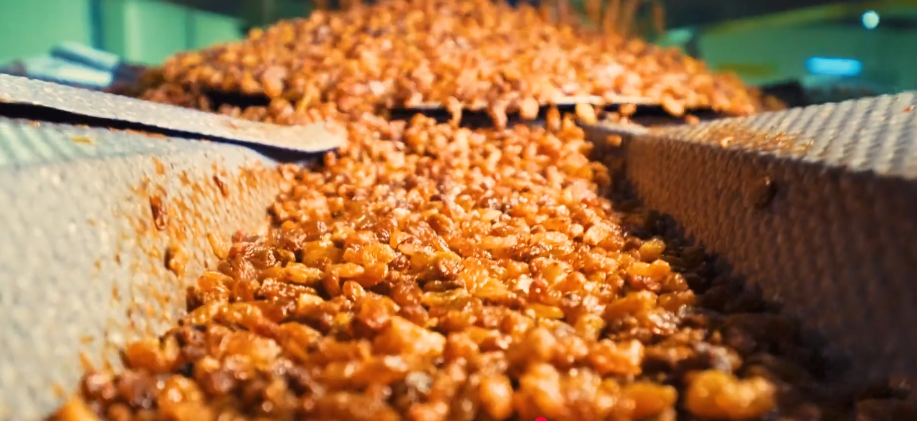 Consultora View Microbiología