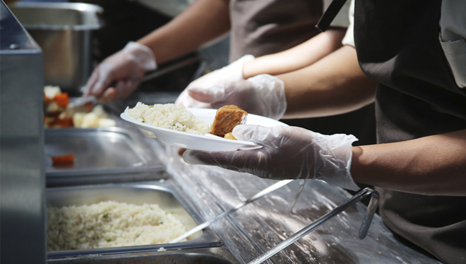 Trabajo de microbiología 5